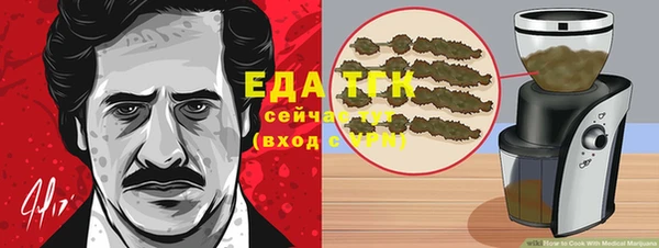 стаф Аркадак