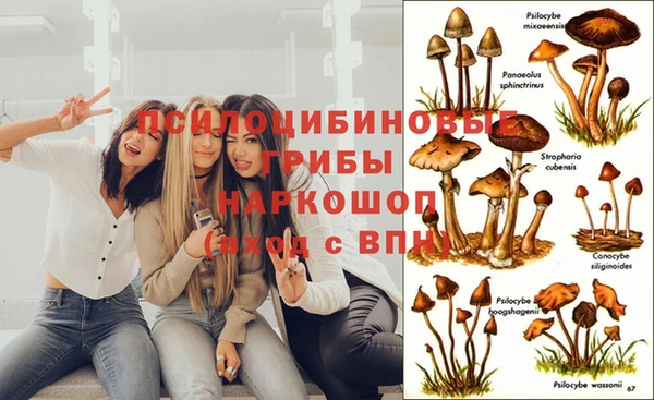 прущий лед Сосновый Бор