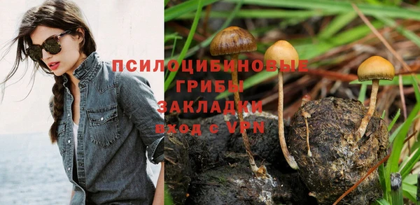 гидра Балахна