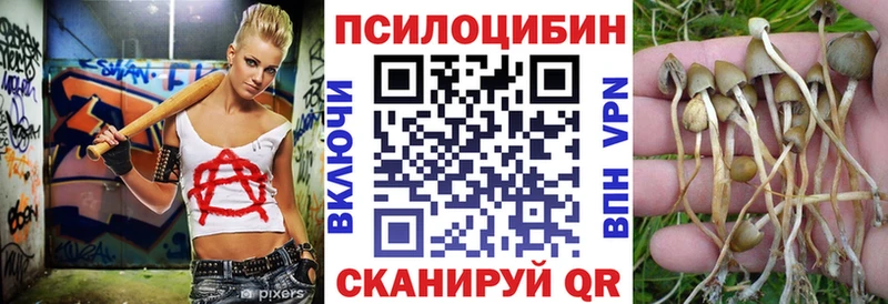 как найти закладки  Сибай  Псилоцибиновые грибы GOLDEN TEACHER 